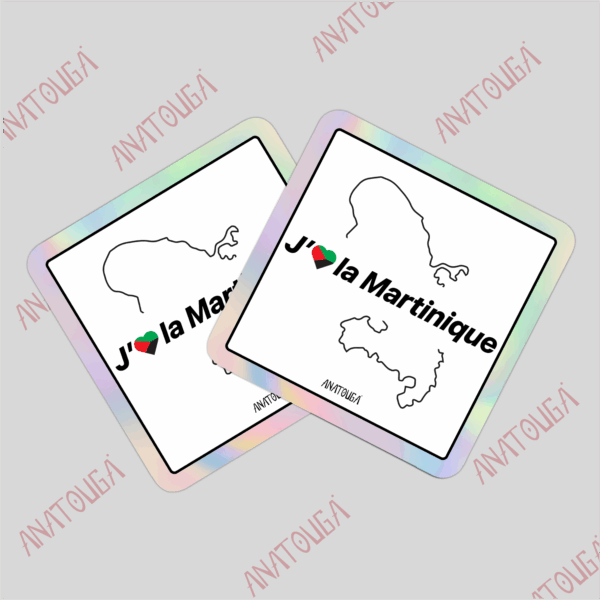 X2 Martinique Drapeau